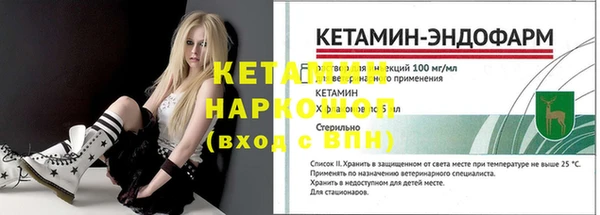 шишки Новокубанск