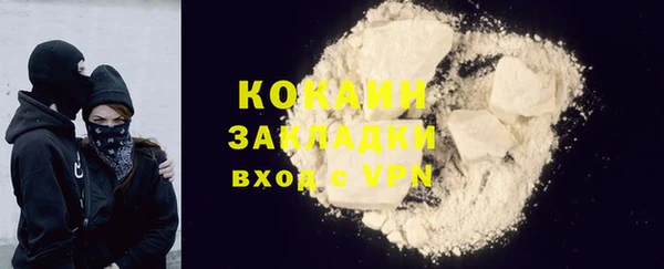 шишки Новокубанск