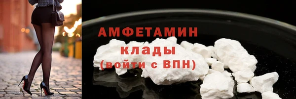 гашик Новодвинск
