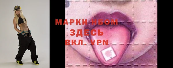 гашик Новодвинск