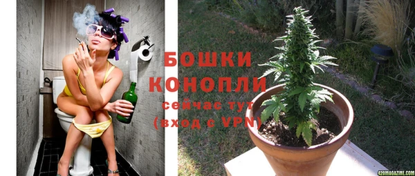 шишки Новокубанск