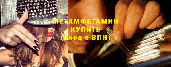 шишки Новокубанск