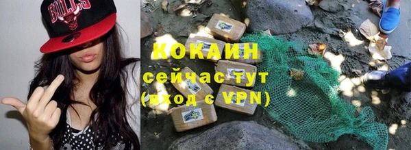 шишки Новокубанск