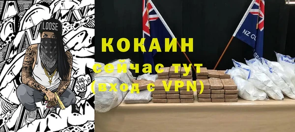 mdpv Инсар