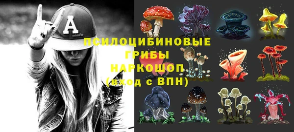 шишки Новокубанск