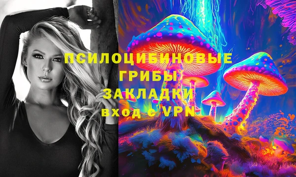 гашик Новодвинск