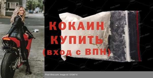шишки Новокубанск