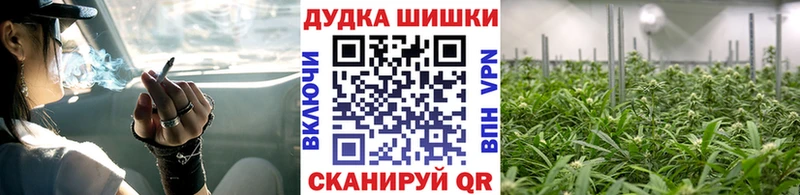 Марихуана ГИДРОПОН  Камбарка 